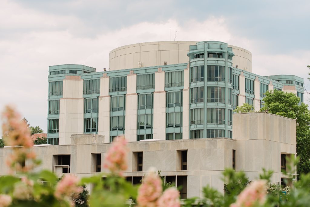 UMBC's Library with flowers