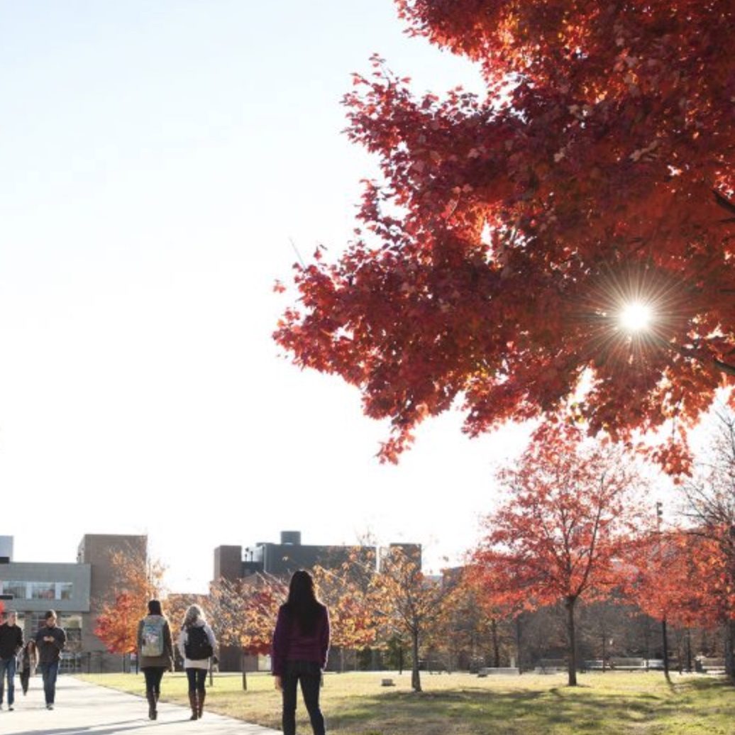 UMBC Students walk down a path across campus with the sun shining through autumn trees. 