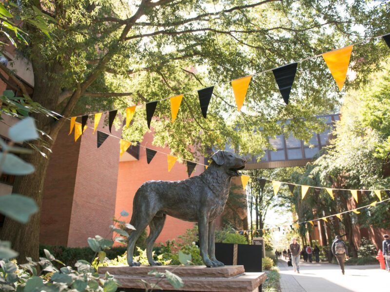 True Grit statue surrounded by blooming trees and black and gold streamers